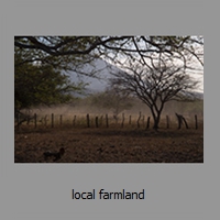 local farmland